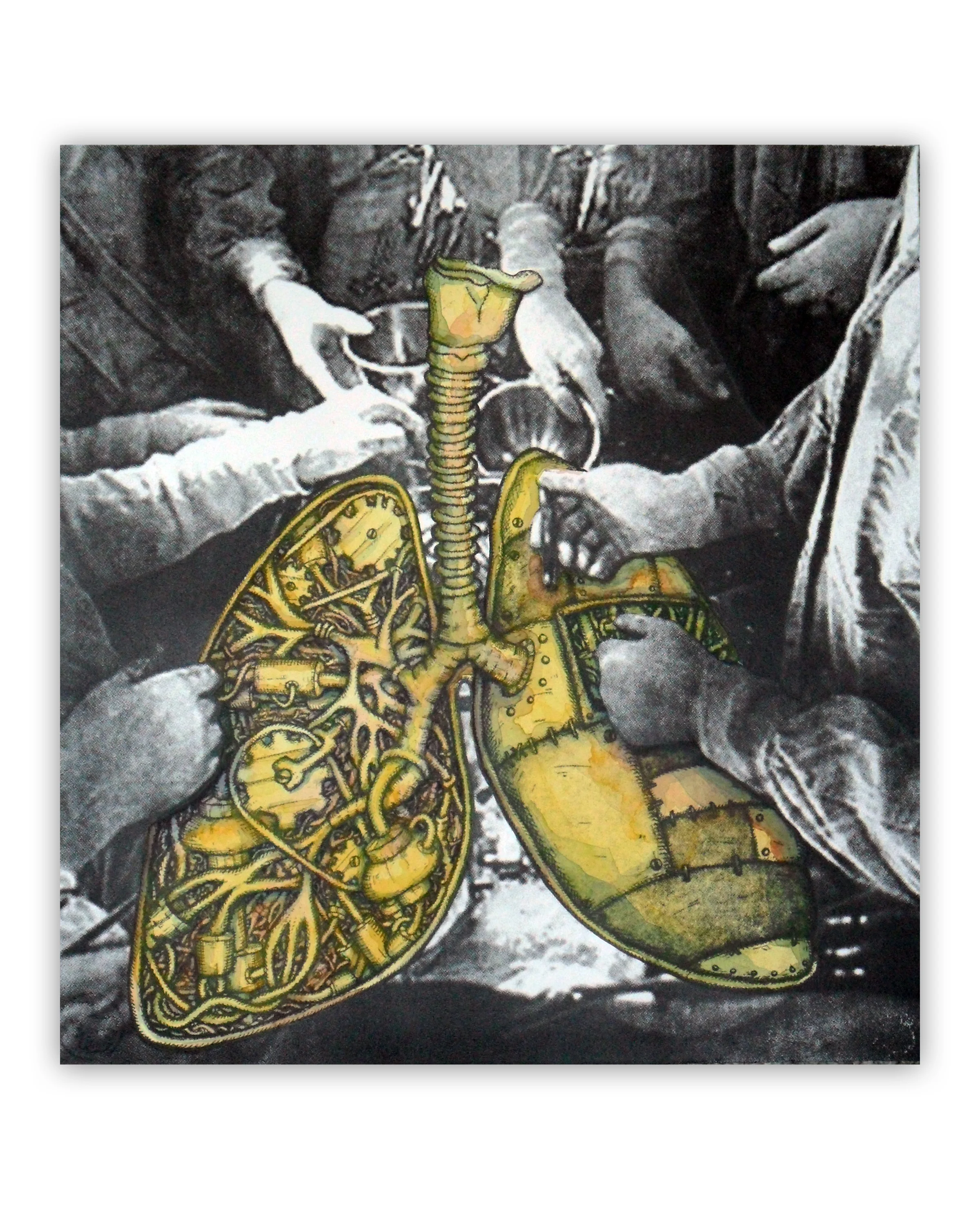 Serigraph,watercolor 24"x20" ©Jase Clark 2012
