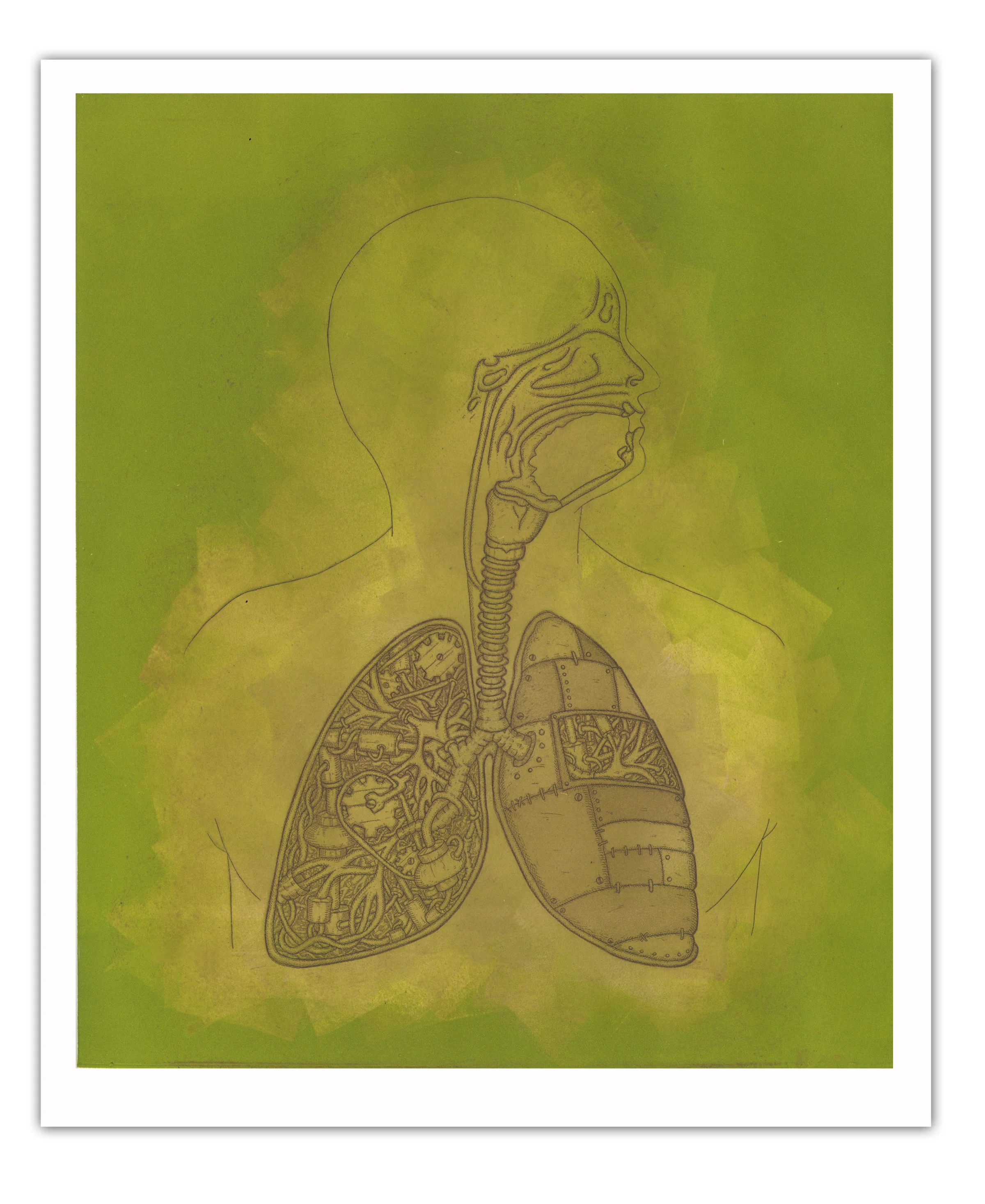 lung green brown.jpg