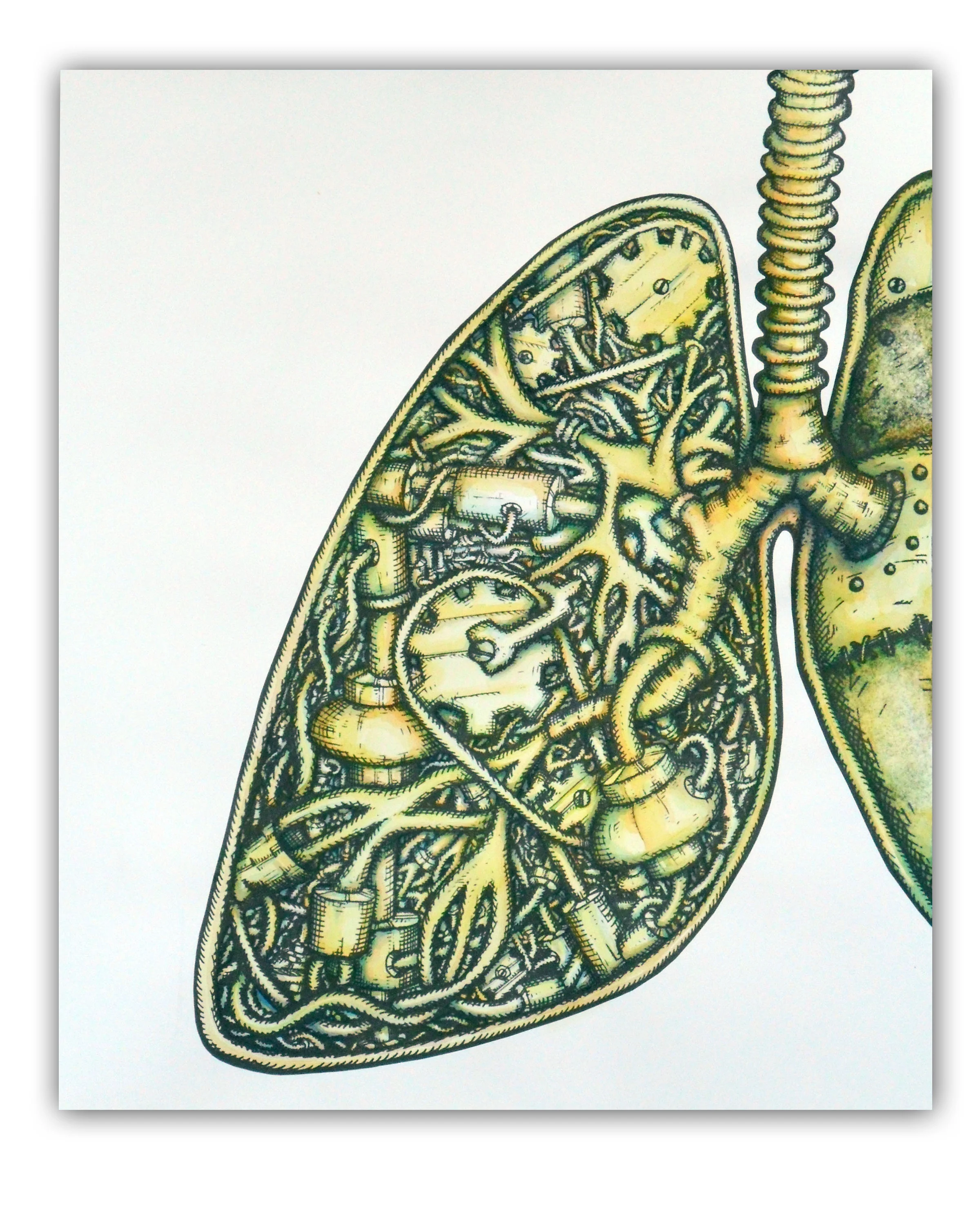 lung large watercolor.jpg