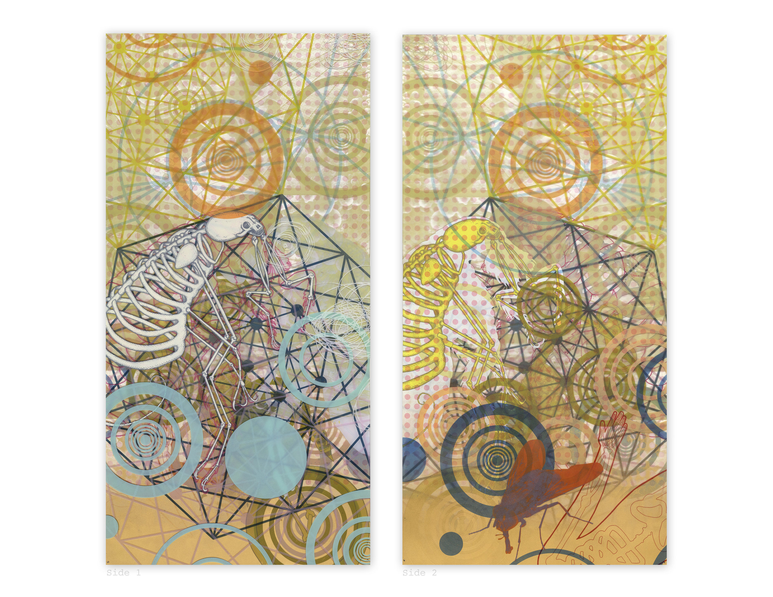 Serigraph, spray paint, Plexiglass (Free standing double sided) 36" x 18" 2014-15 ©Jase Clark