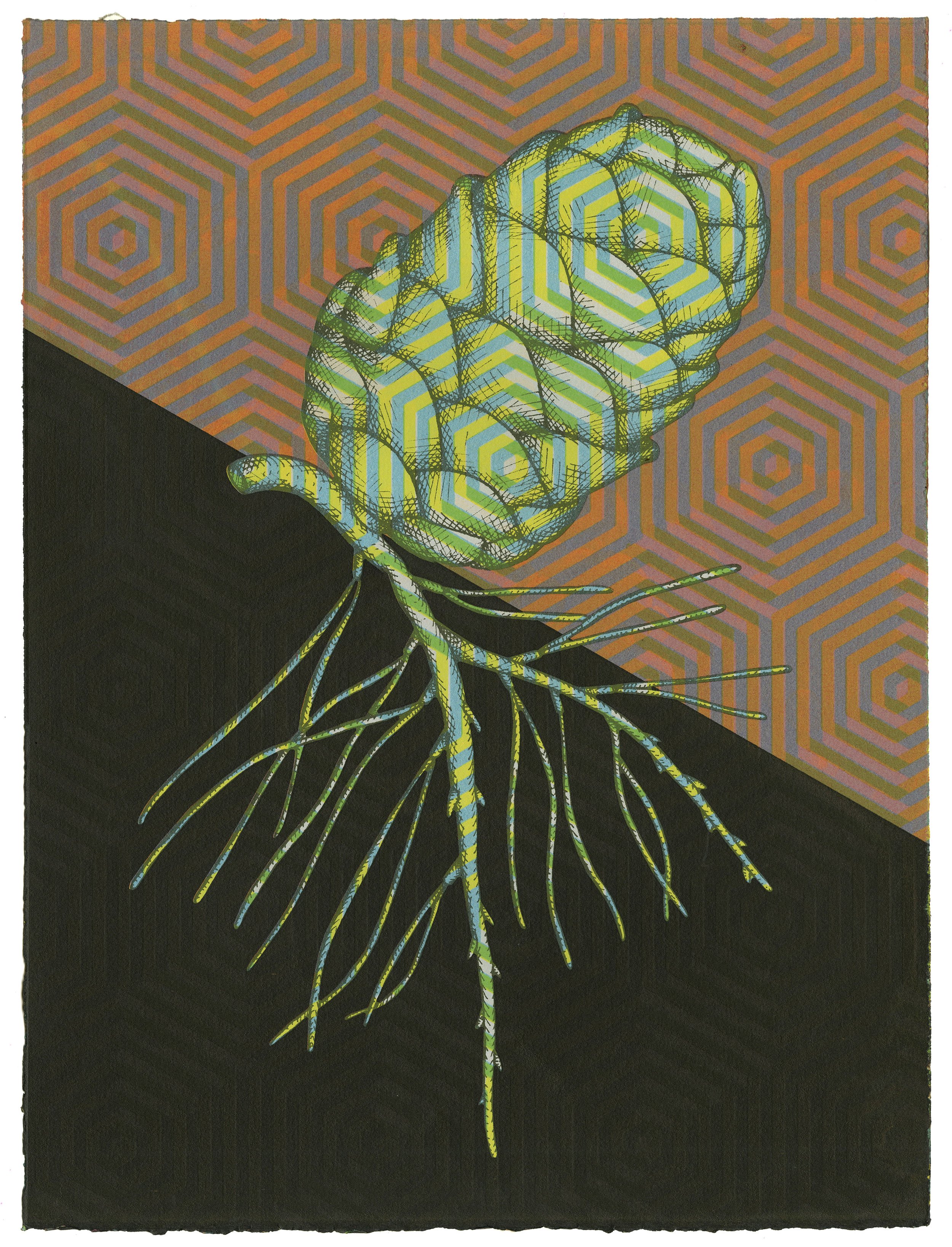 Pinealcone