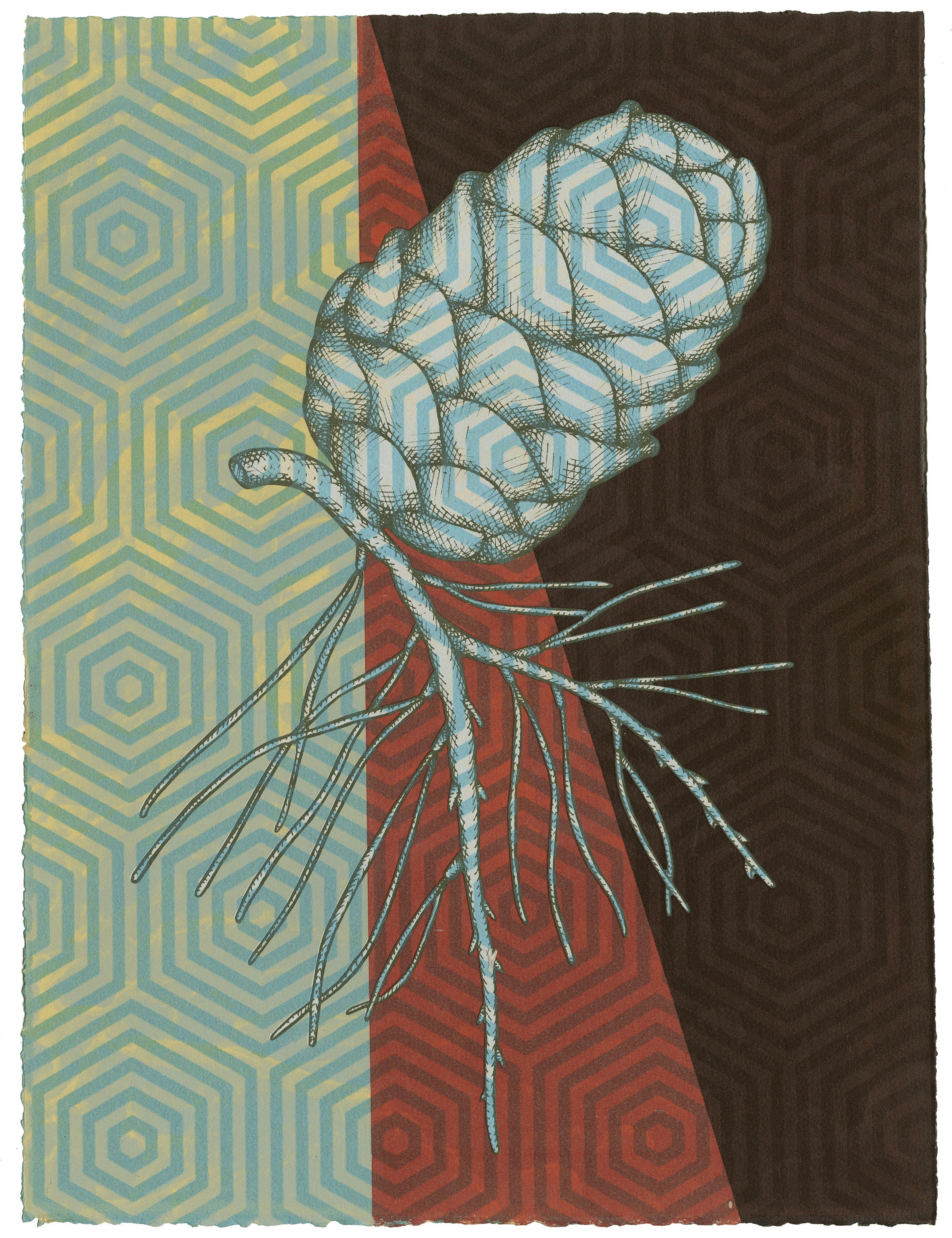 Pinealcone 2