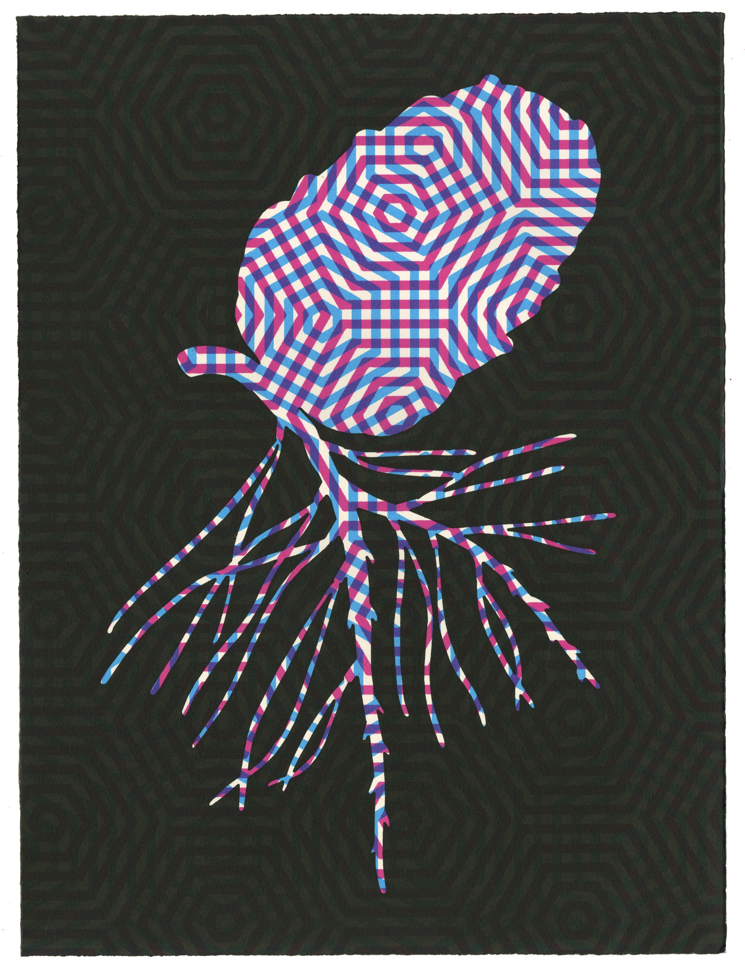 Pinealcone 3
