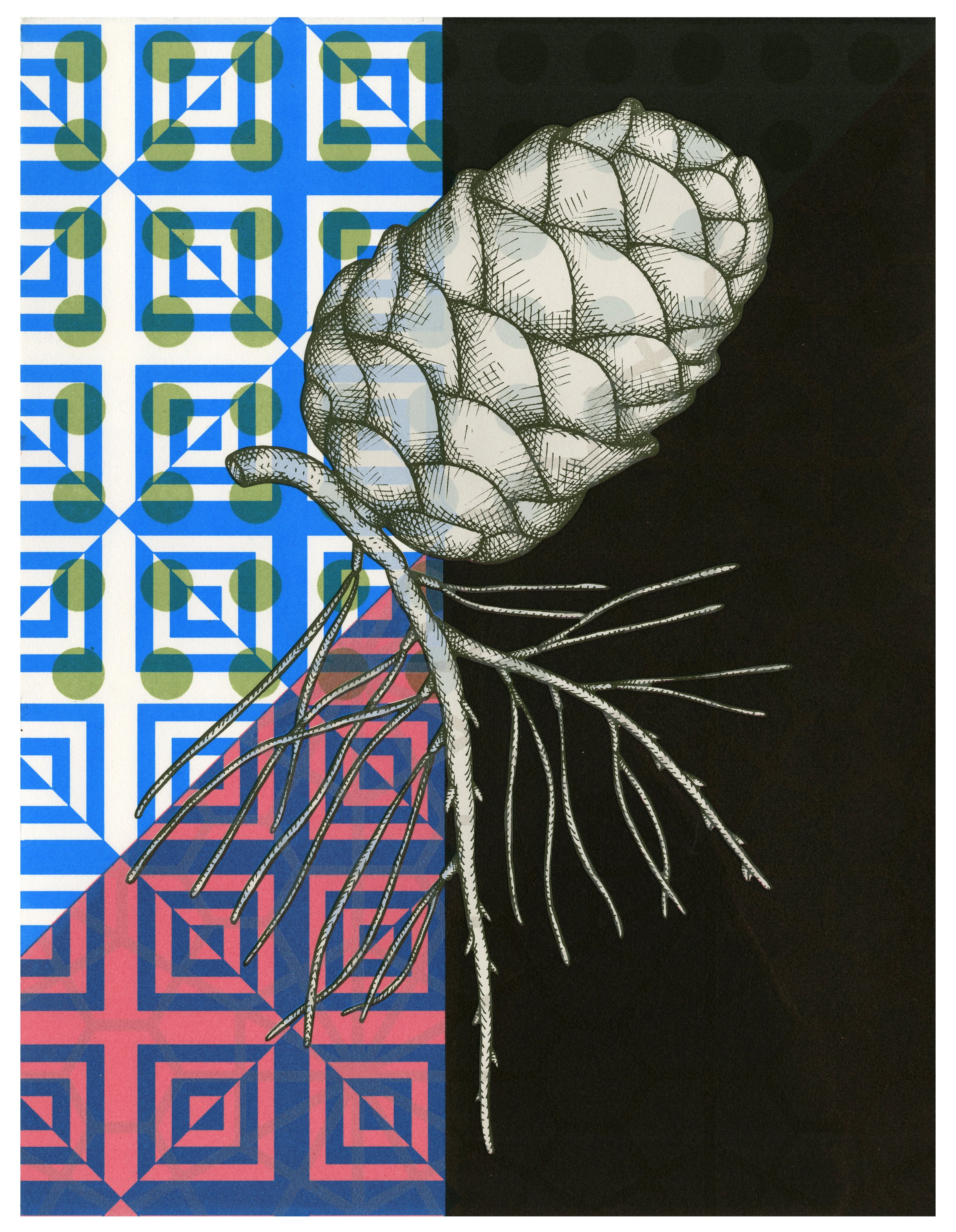 Pinealcone 4