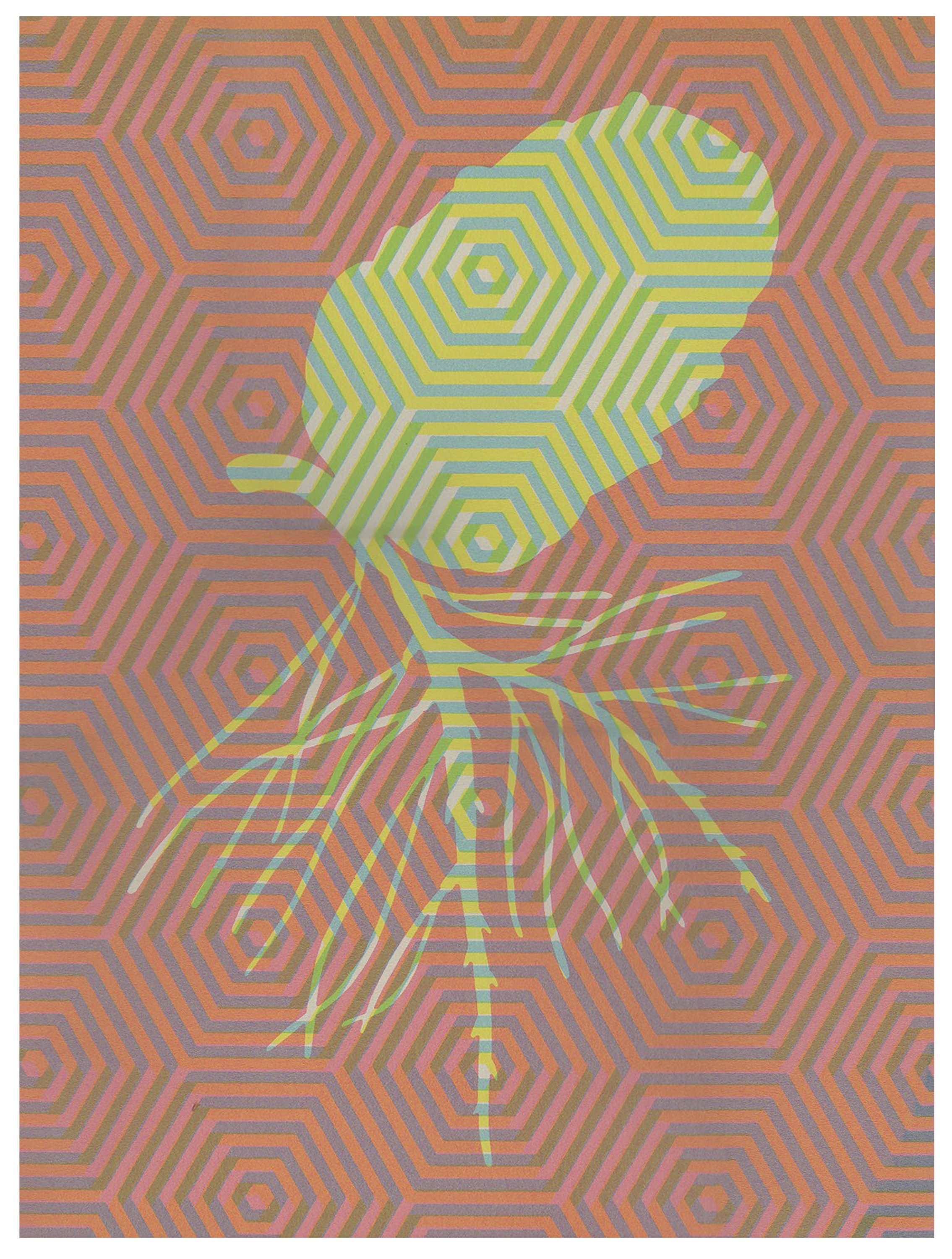 Pinealcone 5