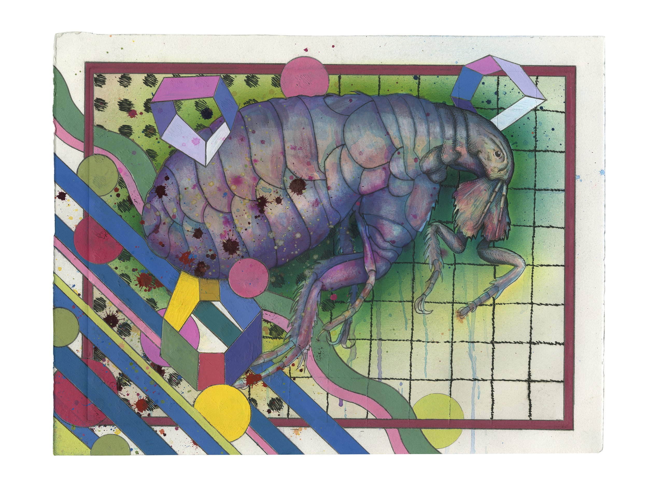 Flea 4