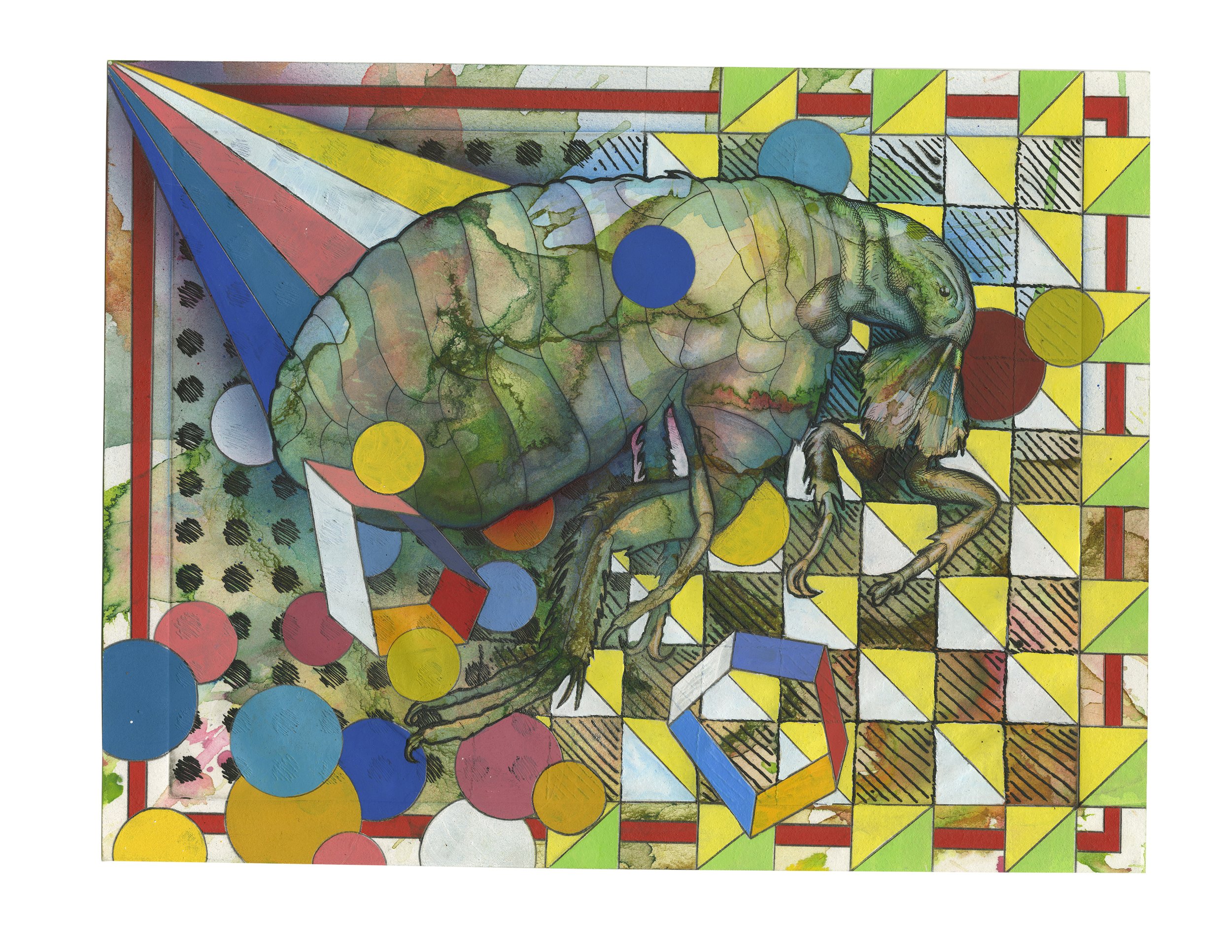 Flea 8