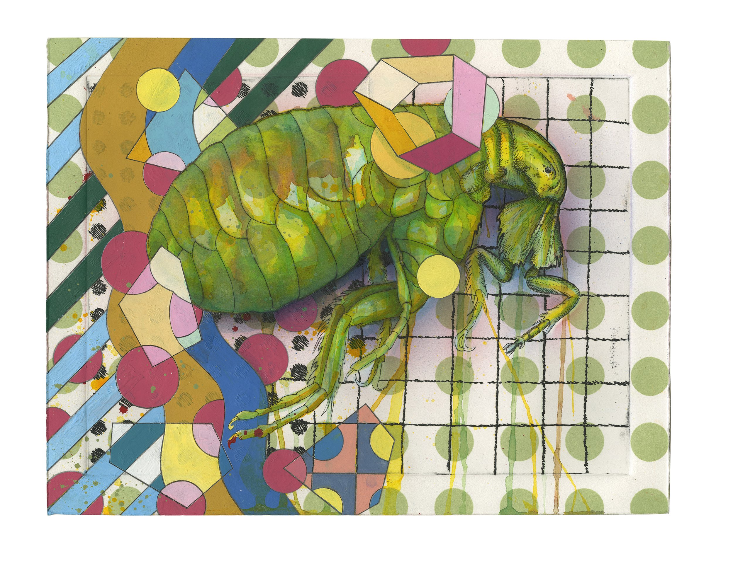Flea 2