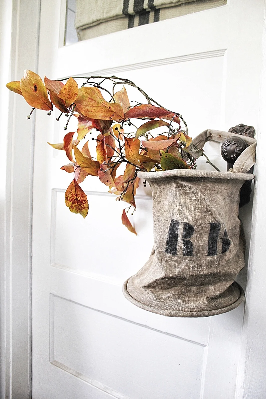 Final_French_Canvas_Bag2_IG.jpg