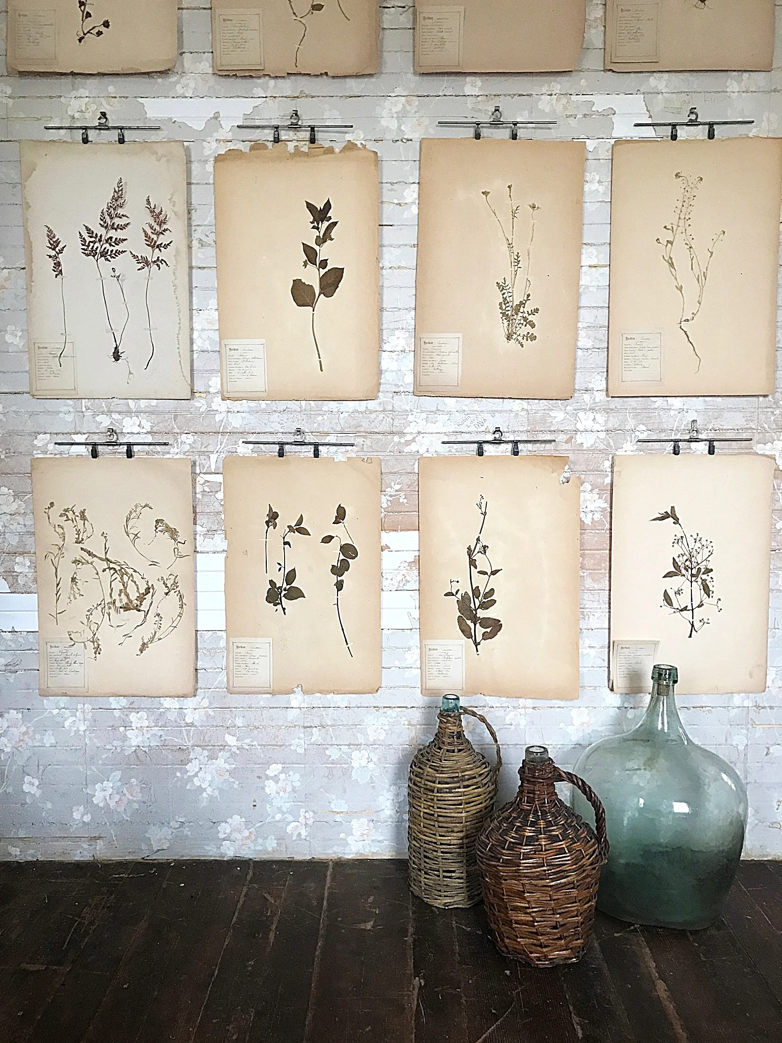 Pair of French Botanicals .I, c. 1890