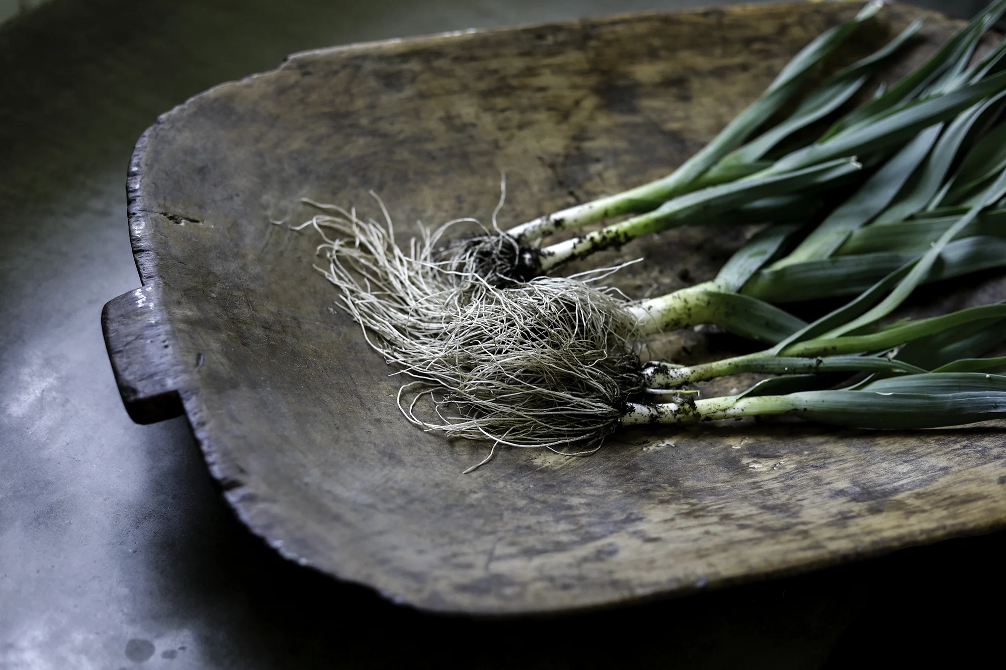 Antique_Dough_Bowl3.jpg