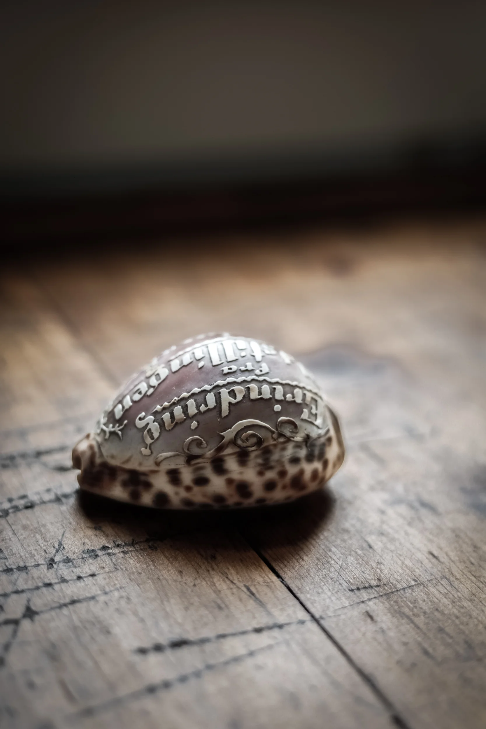 Antique_carved_shell5.jpg