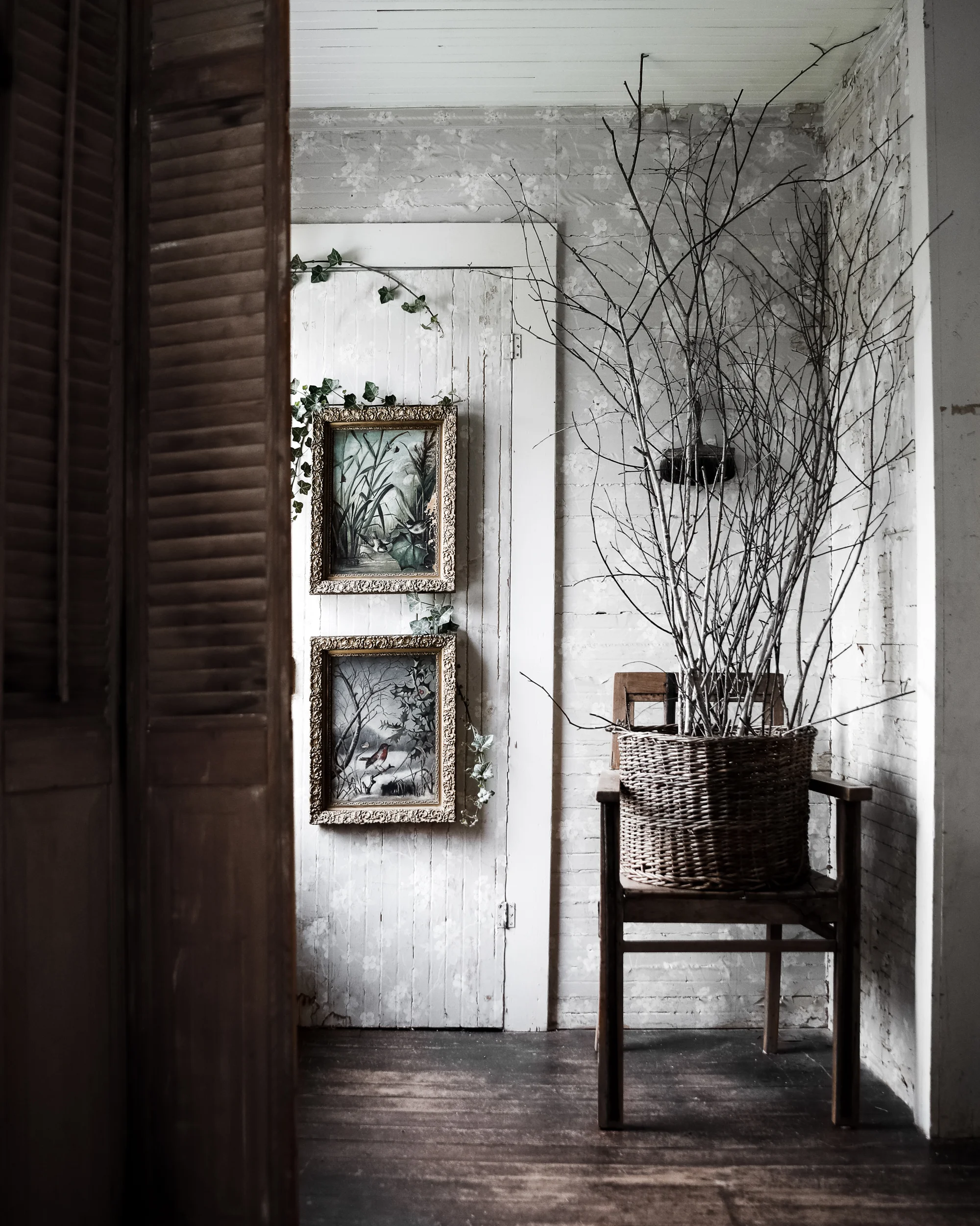 Framed Bird Paintings