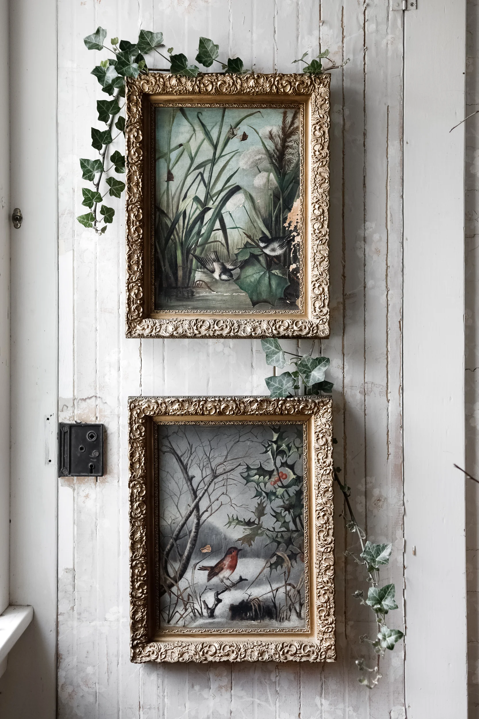 Antique_Bird_Paintings2.jpg