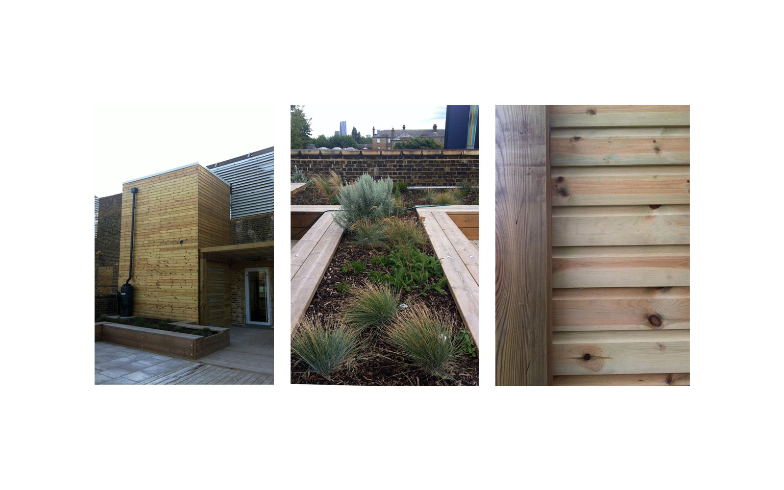 CFGS Block L Roof Garden