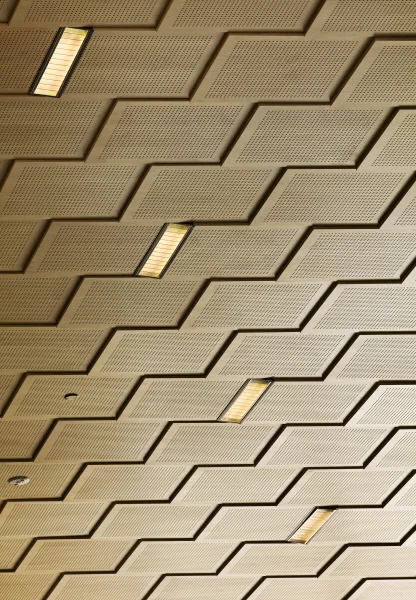 DICKINSON CEILING.jpg