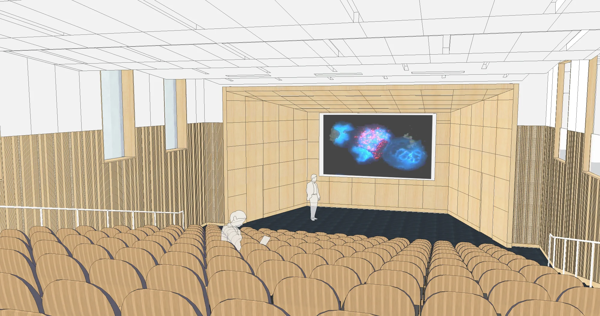 auditorium from back 2.jpg