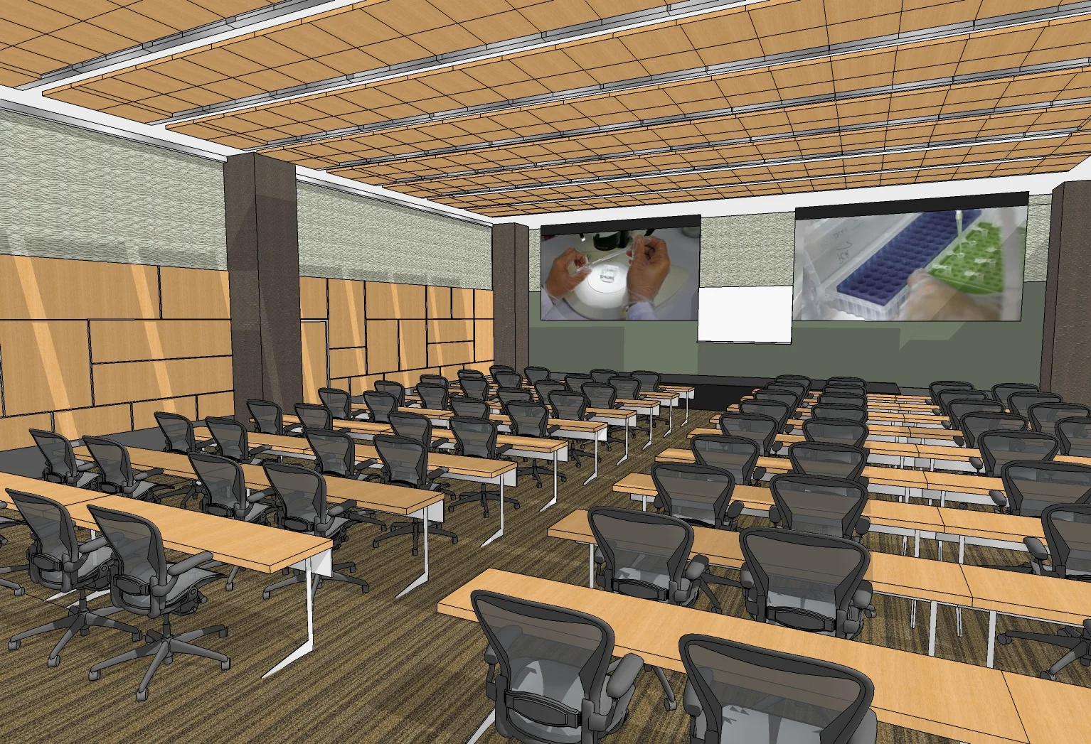large_classroomshadow.jpg