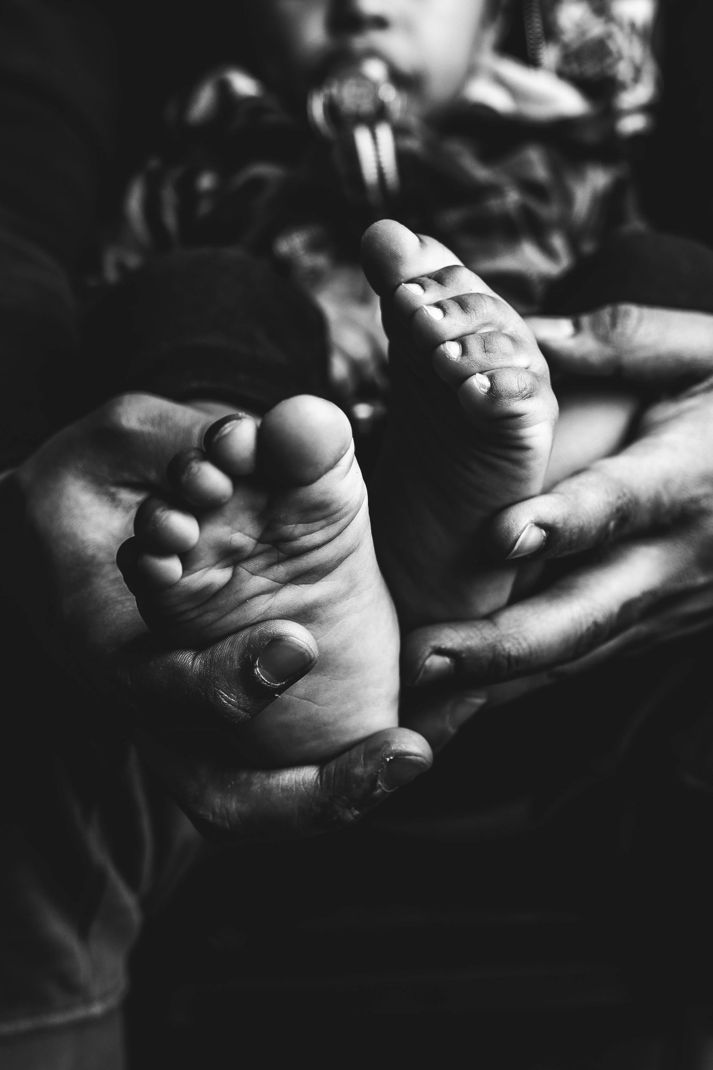  Photo by: Ovstills (www.ovstills.com) 