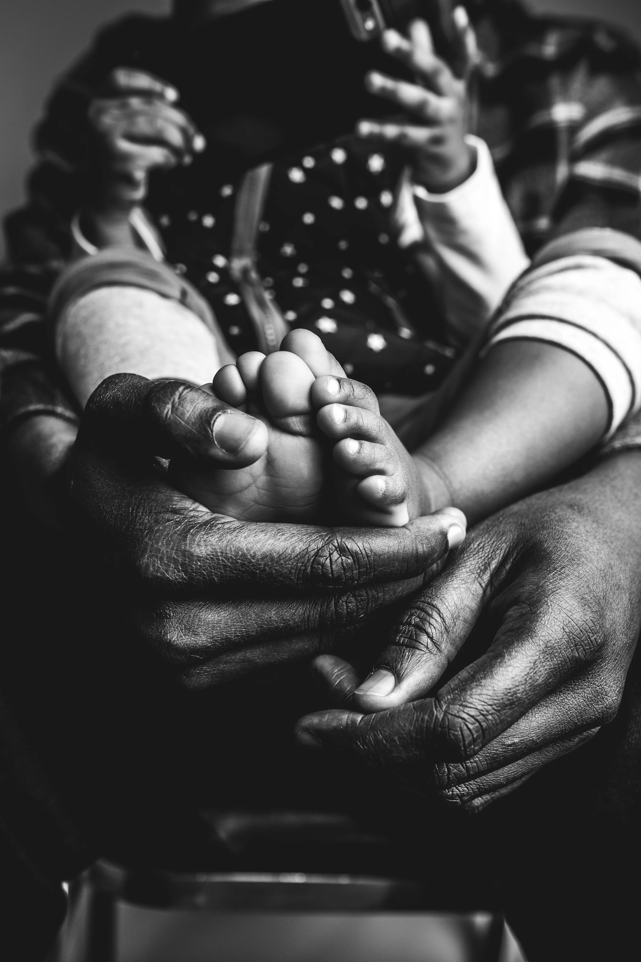  Photo by: Ovstills (www.ovstills.com) 