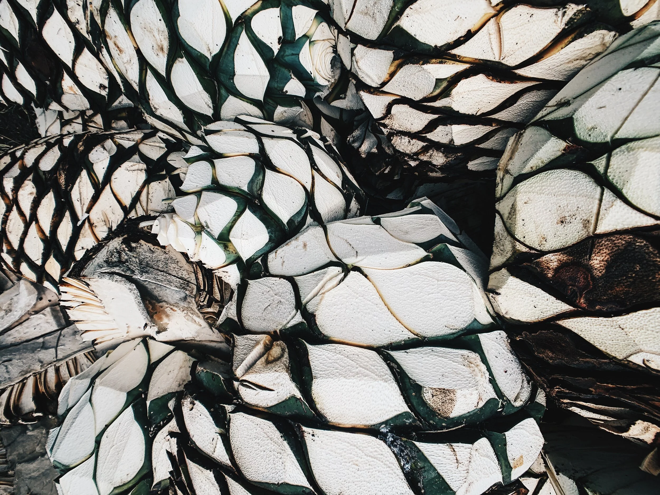  Processed with VSCO with hb2 preset 