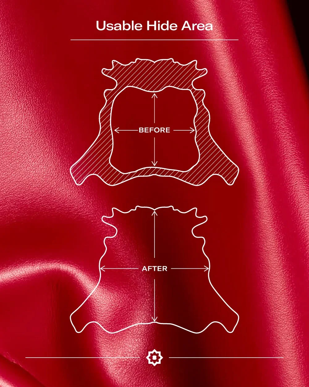 ILM_post image_04.2025_v4.jpg (Copy)