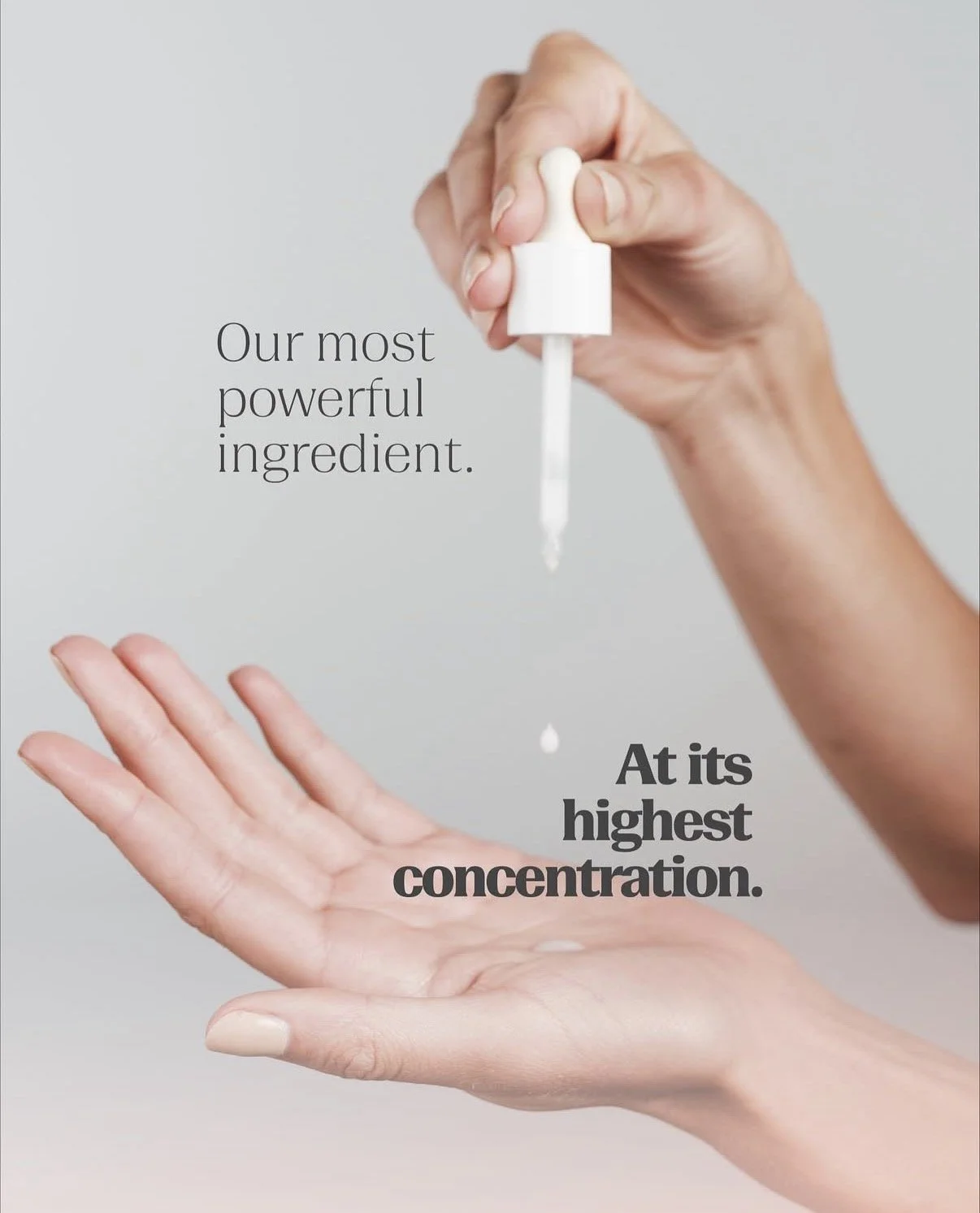 IMG_3385.jpeg (Copy)