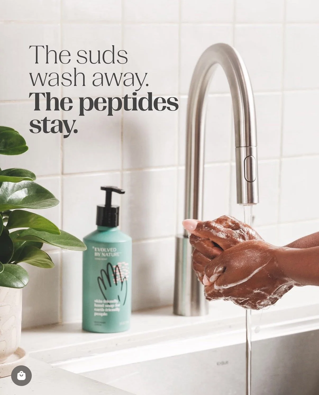 IMG_3384.jpeg (Copy)