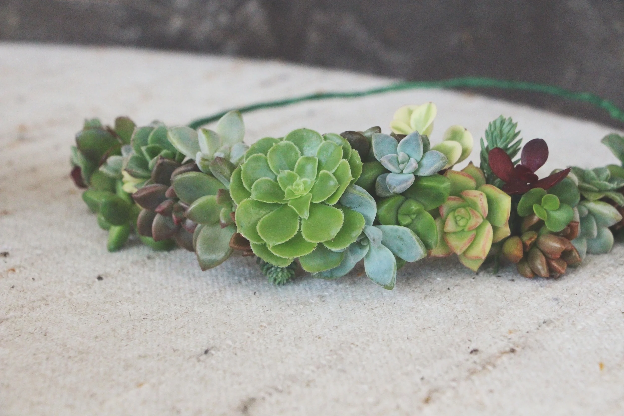 diy succulent crown via needles + leaves