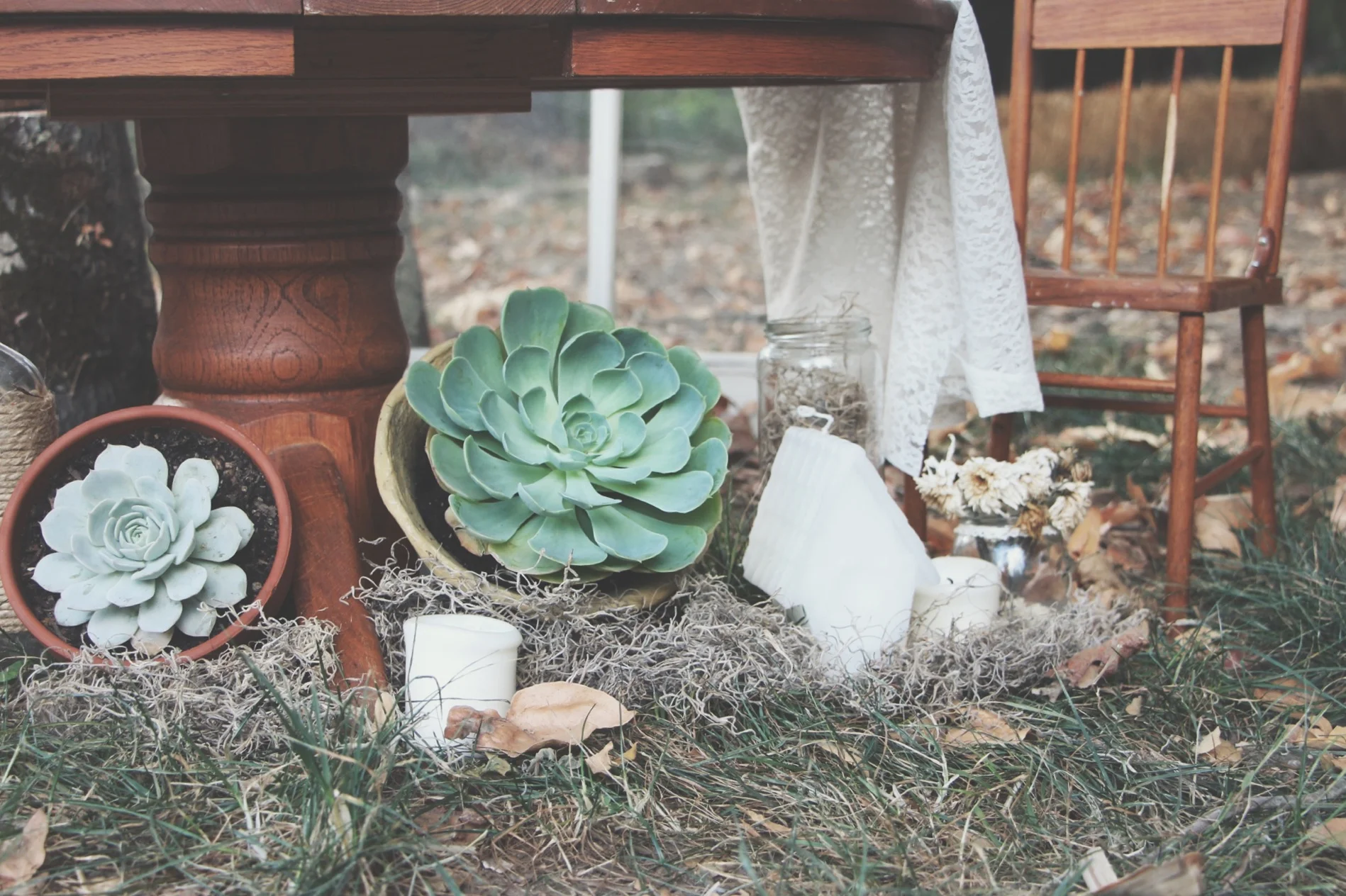 A Succulent Tea Party via Needles + Leaves :: we styled this photo shoot with succulents in a teapot, teacups, mason jars, a bell jar, and terra cotta pots. :: flowers, roses, daisies, babies breath:: vintage inspired owl, reused, repurposed, shabby chic, window, candles, miniature furniture :: diy flower crown and little lace dress tutorial.