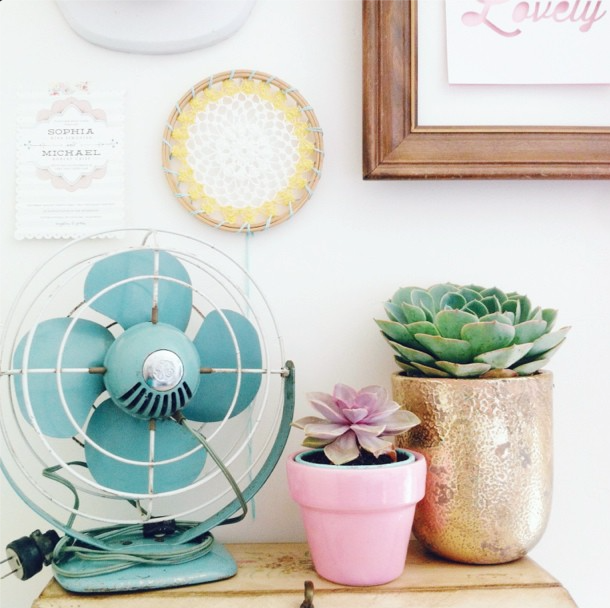 succulent-style-with-jaime-marie-hill-needlesandleaves_net.jpg