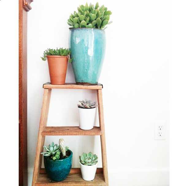 succulent-style-with-jaime-marie-hill-needlesandleaves_net.jpg