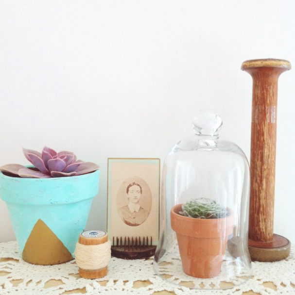 succulent-style-with-jaime-marie-hill-needlesandleaves_net.jpg