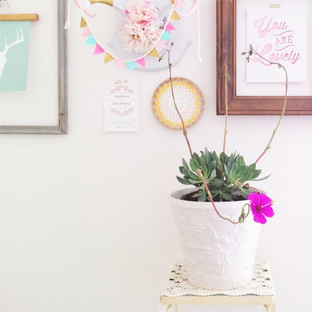 succulent-style-with-jaime-marie-hill-needlesandleaves_net.jpg