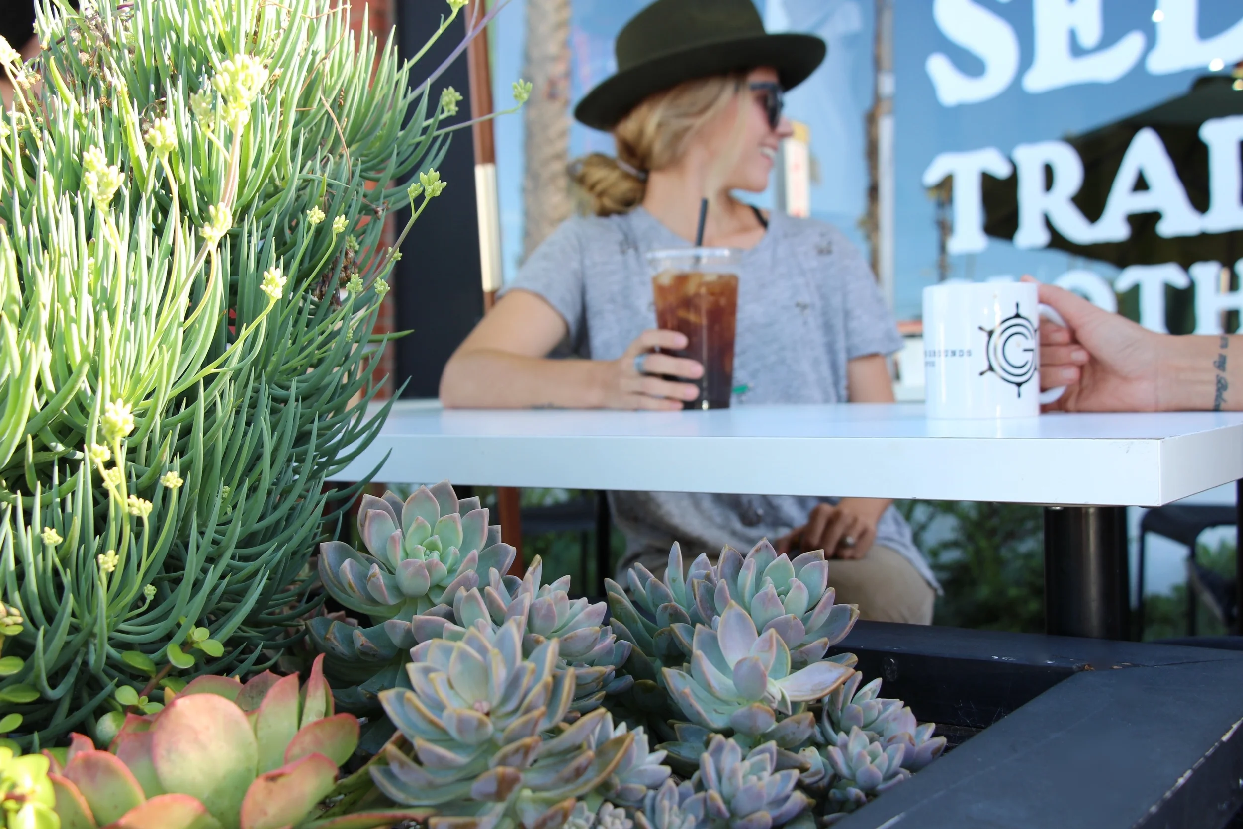 Succulent Garden at Captain's Grounds Coffee in Oceanside, CA