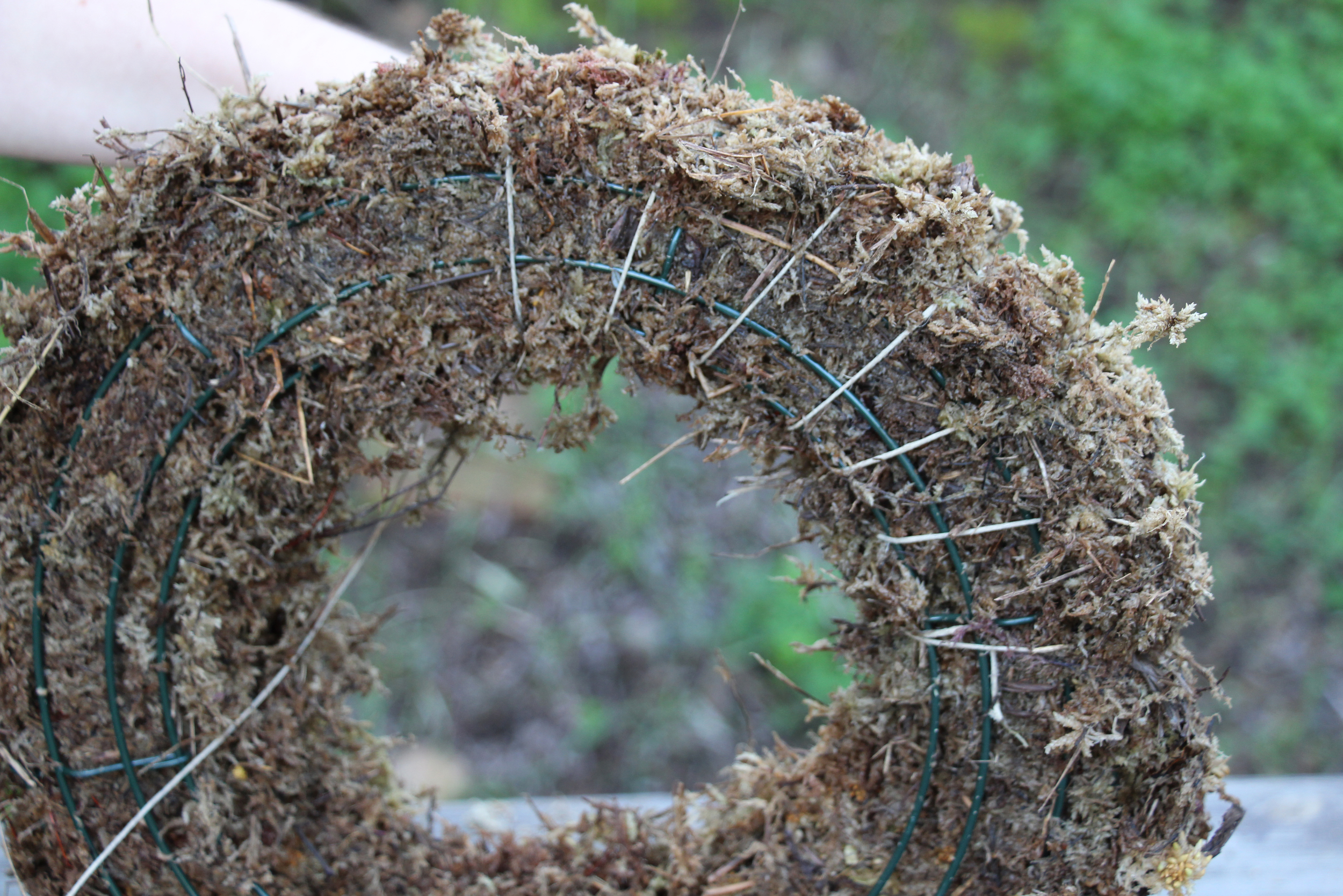 DIY Living Christmas Wreath with Succulents