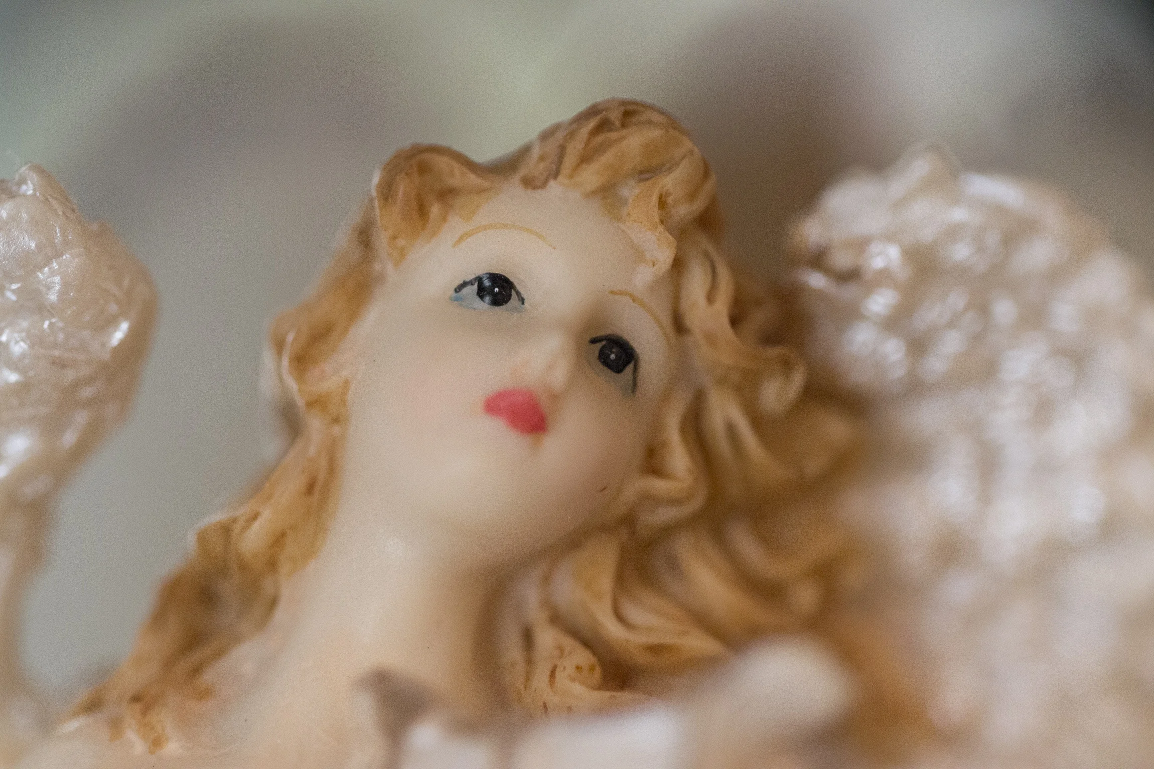 EOS-M with 100mm Macro-3.jpg