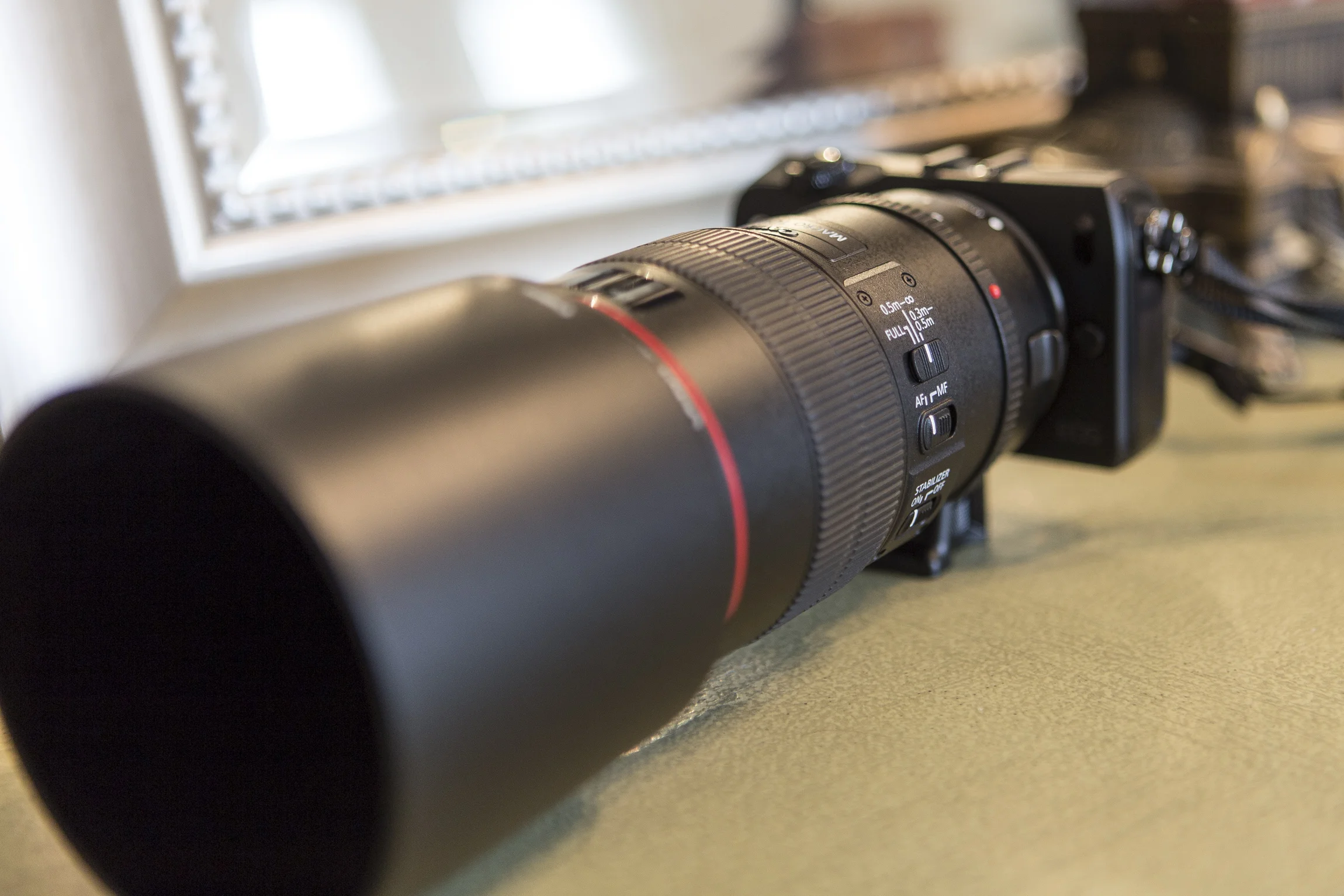 EOS-M with 100mm Macro-5.jpg