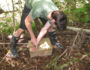 Stu Barr checks a DoC200 trap before setting