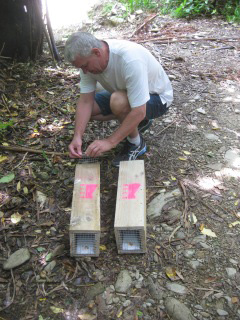 Trust treasurer Brian Burke checking and setting new traps