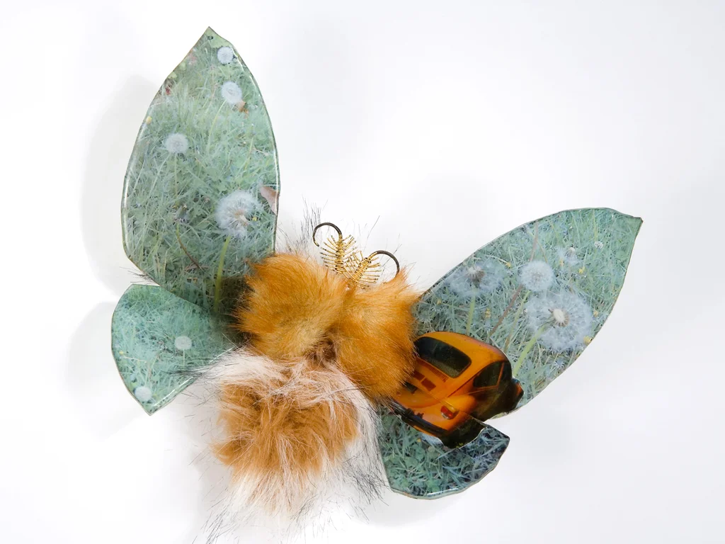 Moth1.jpg