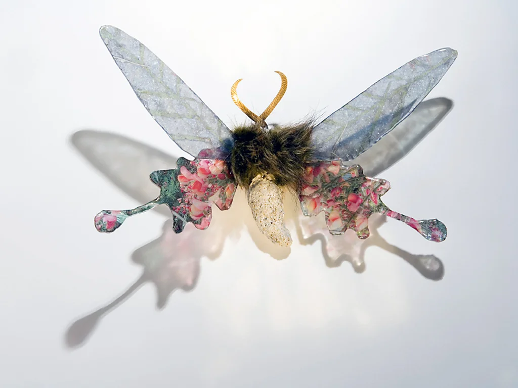 Moth3.jpg