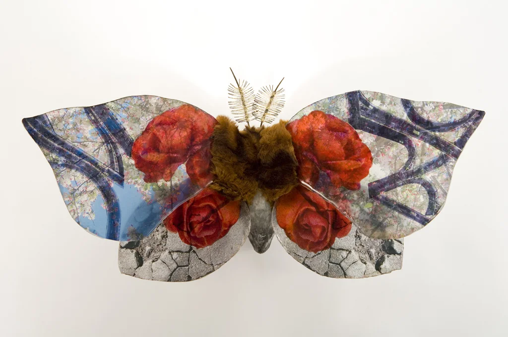 Moth5.jpg