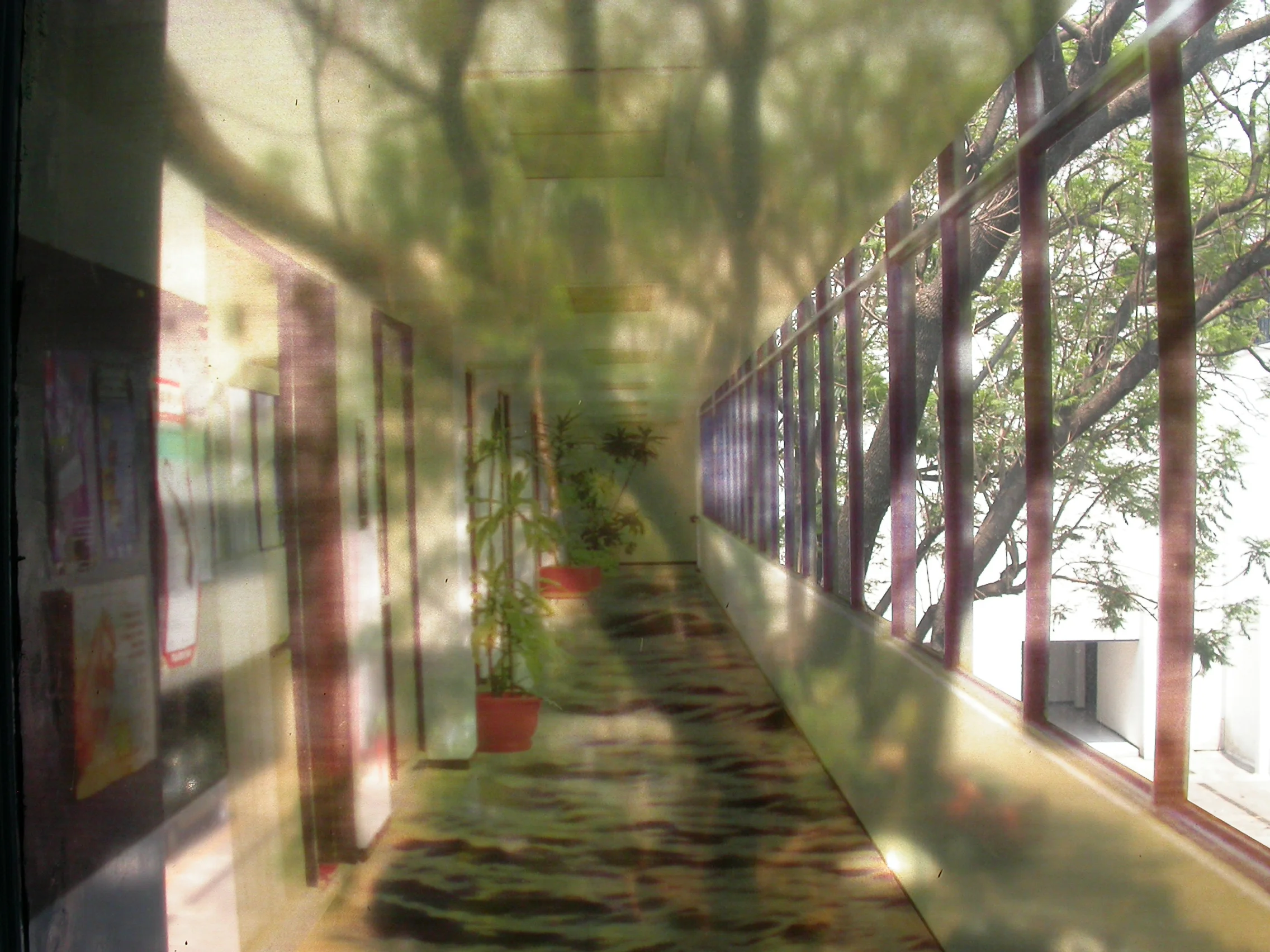 DSCN5495.jpg