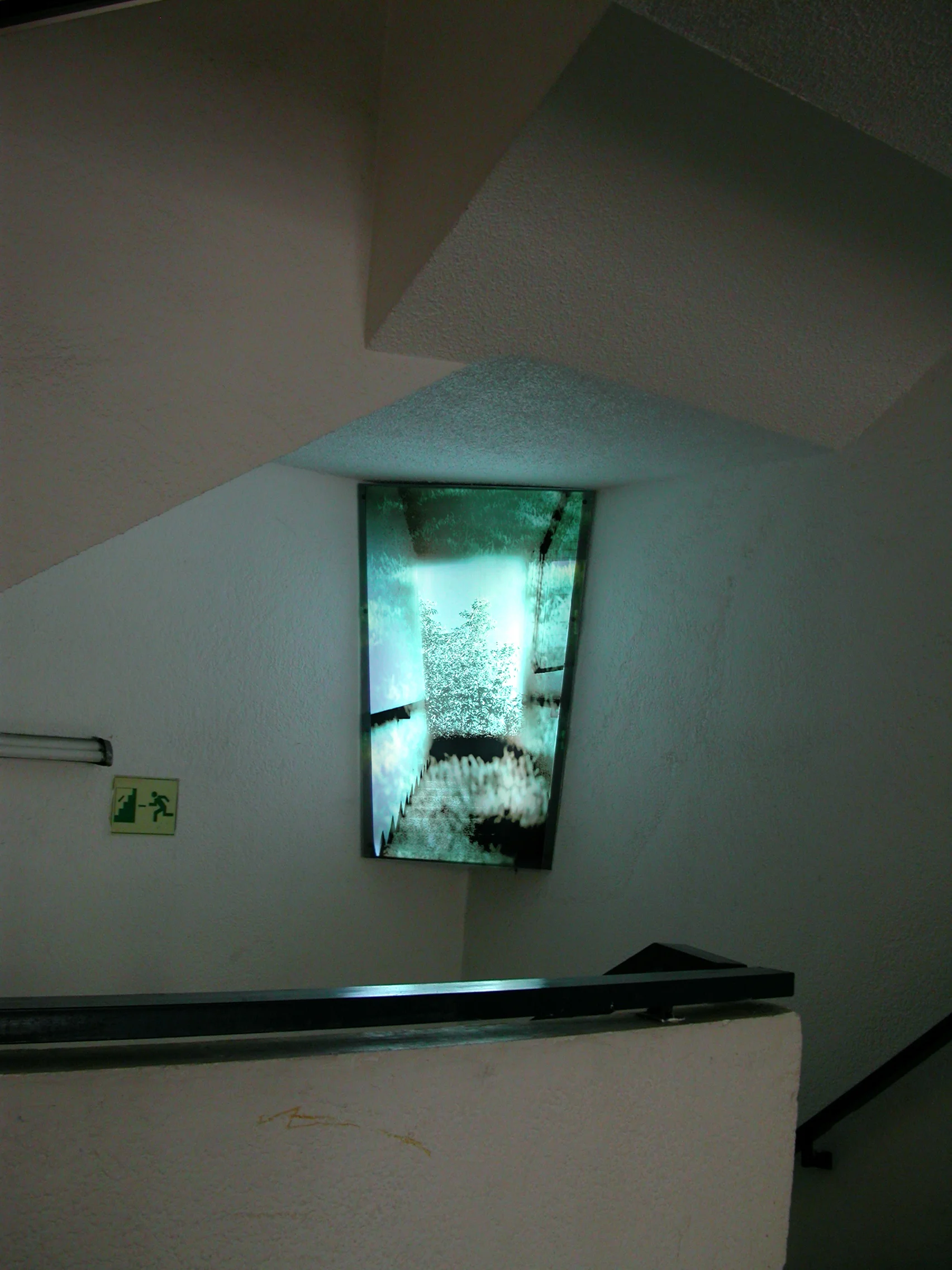 DSCN5456.jpg