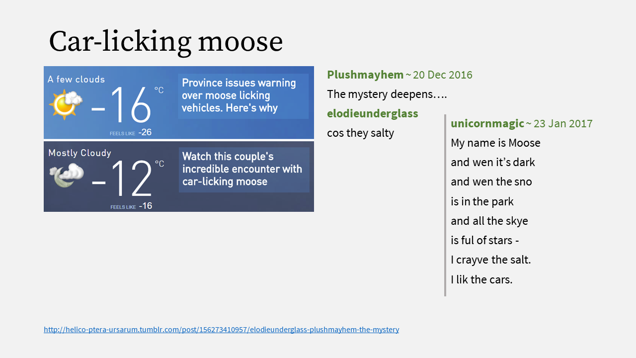 16 - Car-licking moose.PNG