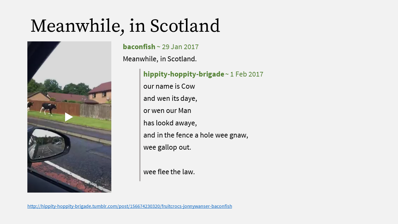 18 - Meanwhile in Scotland.PNG