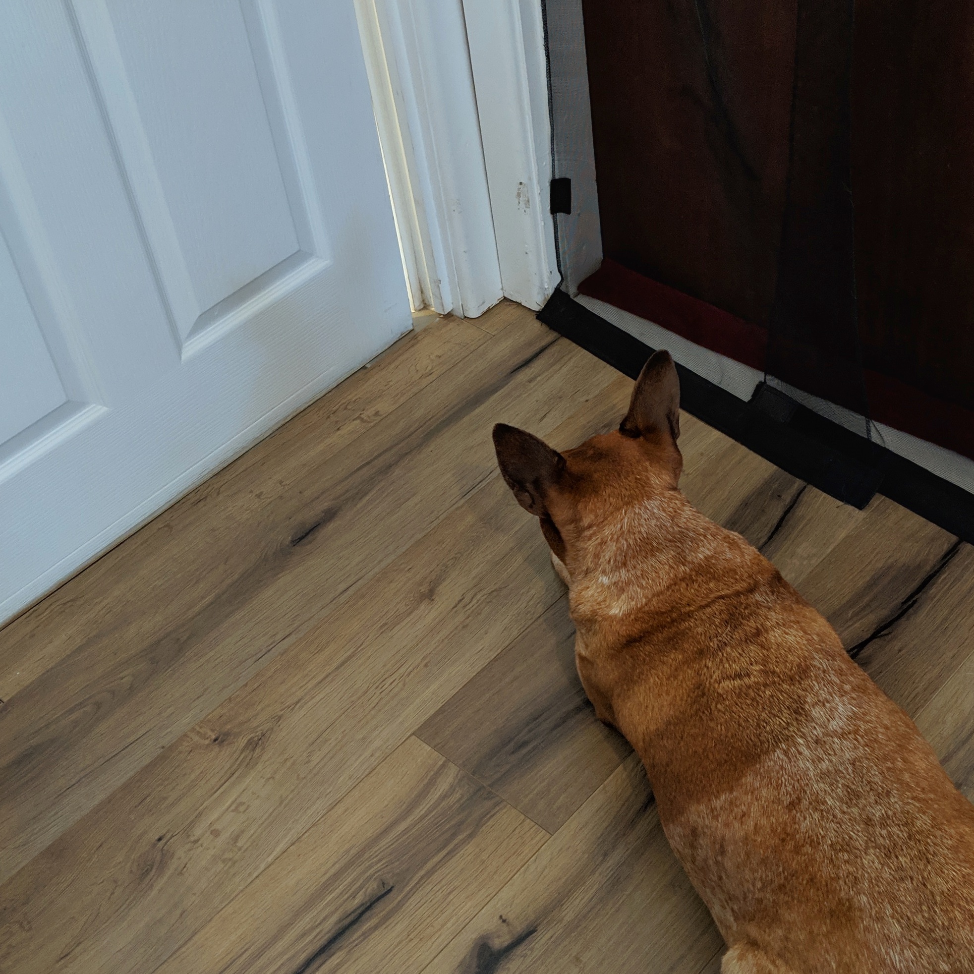 Maggie waits patiently for Nadia to come out of the bathroom.