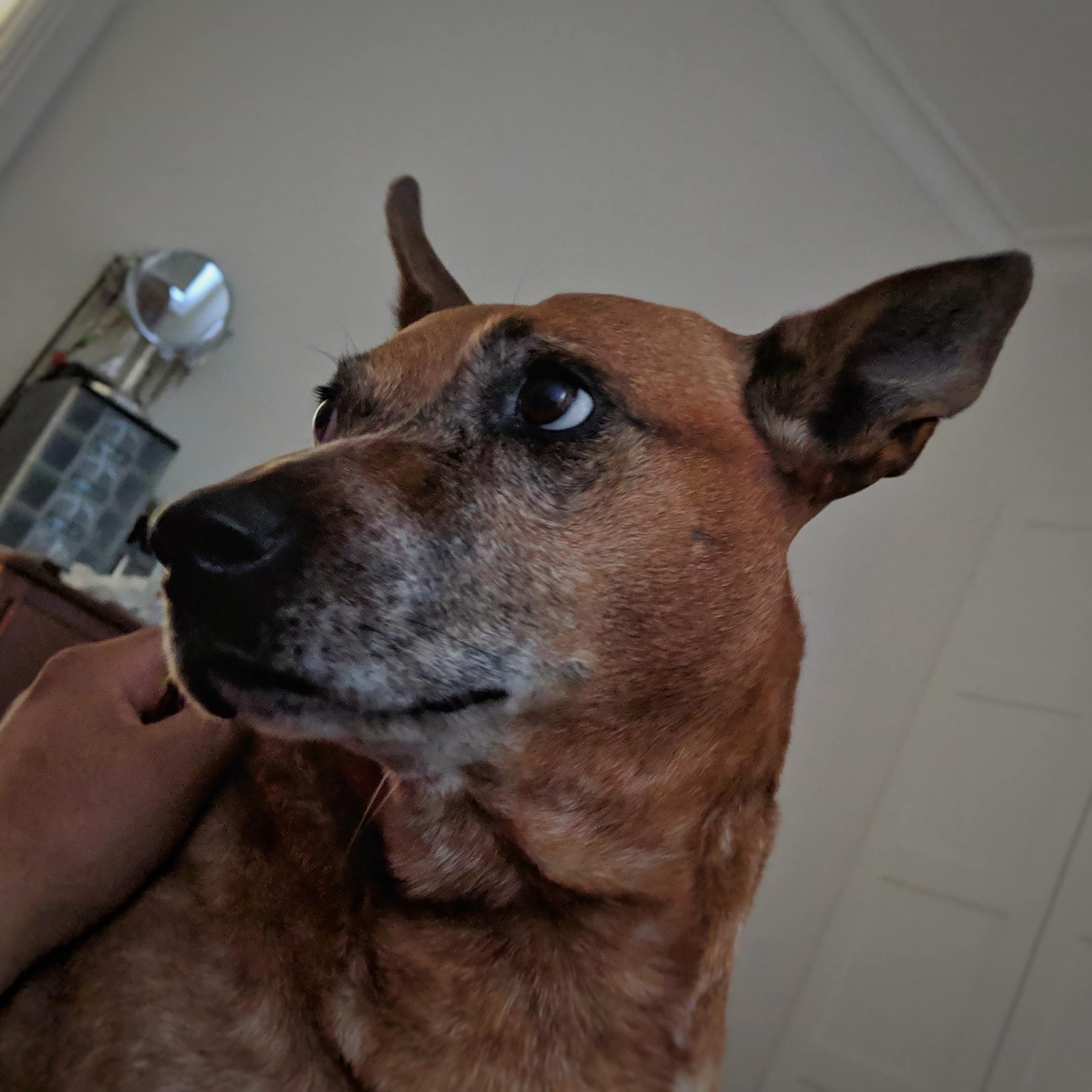 Follow your ear.