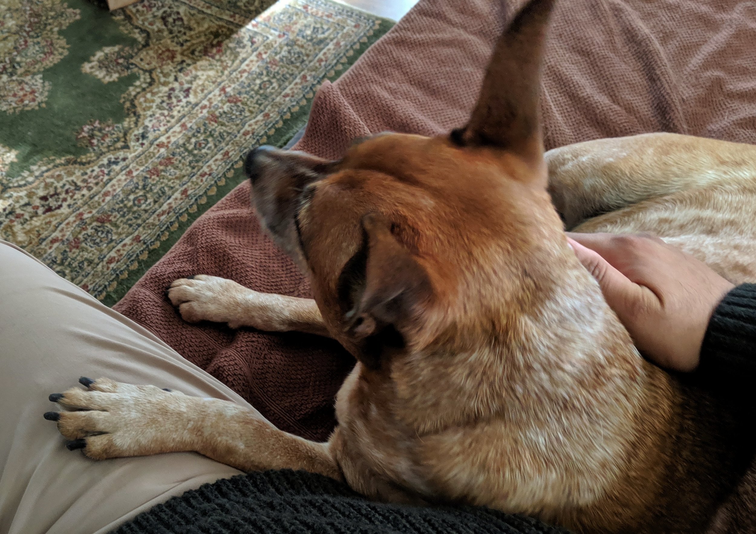 Possessive paw.